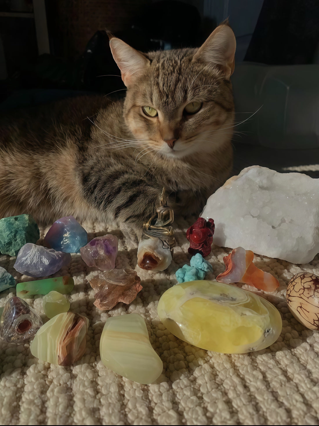 Embracing Unique Beauty: The Henrymi Journey