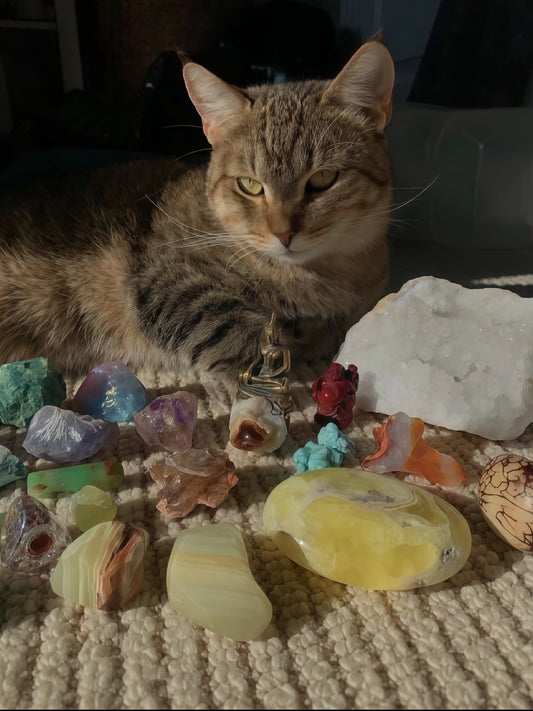 Embracing Unique Beauty: The Henrymi Journey