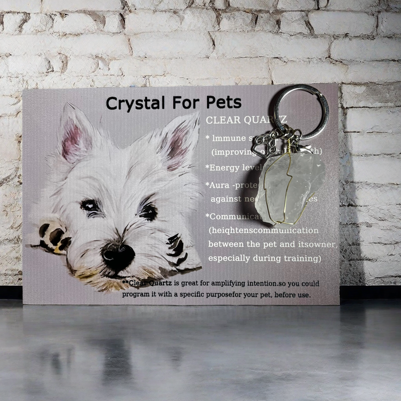 Crystal Pet Pendant: Bringing Crystal Energy to Your Pets