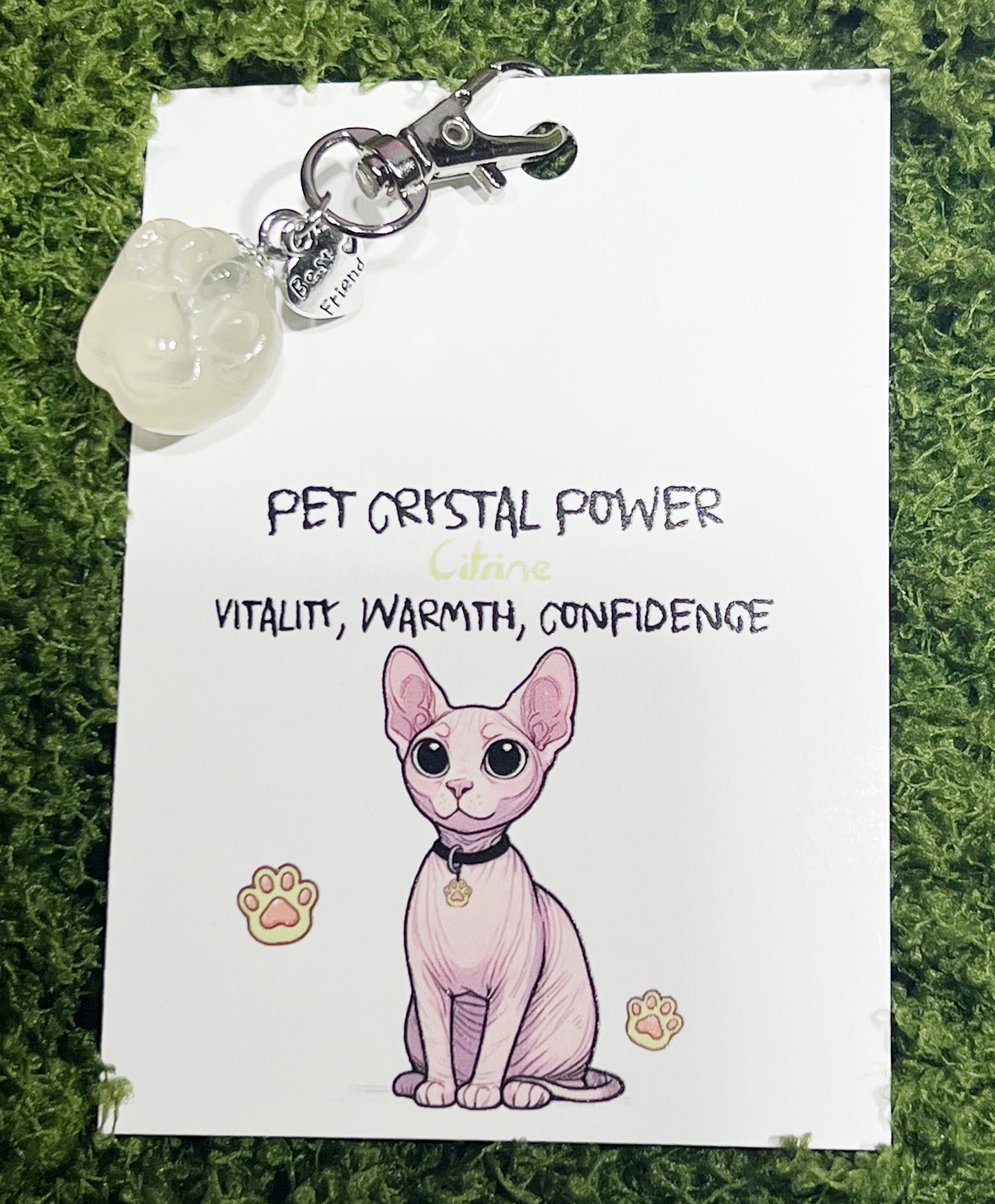 Crystal Cat Paw Pet Pendant——Gentle Comfort for the Soul